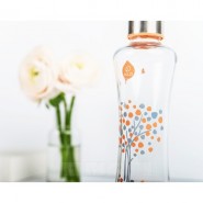 Gourde verre 550 ml PECHE