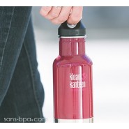 Gourde isotherme inox 355 ml - SILVER