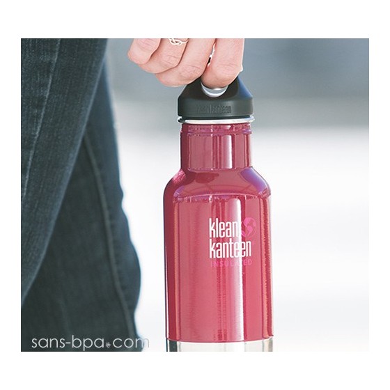 Gourde isotherme inox 355 ml - SILVER