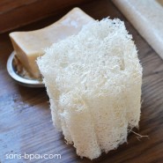 Lot 2 Luffa pour le ménage