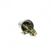 Théière verre isotherme 350 ml SILVER