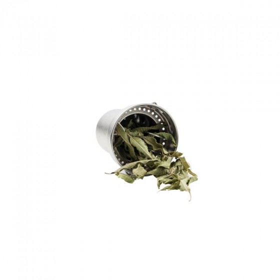 Théière verre isotherme 350 ml SILVER