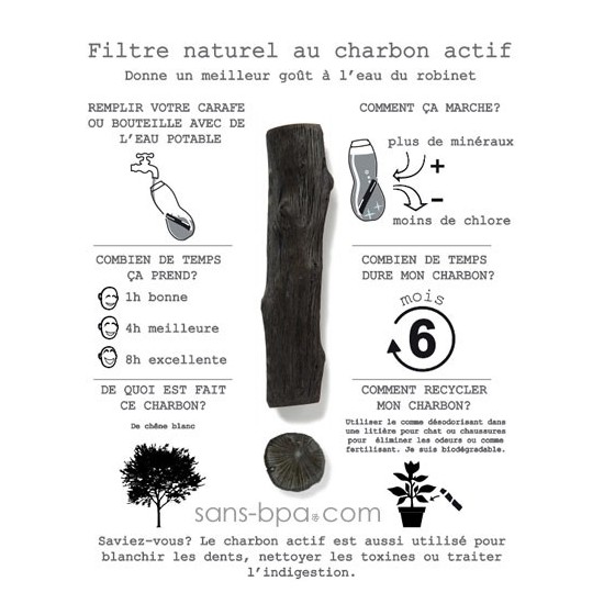 Lot 5 charbons Actif Binchotan