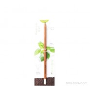 Crayon à graines aromatiques - Camomille