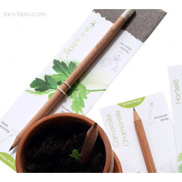 Crayon à graines aromatiques - Camomille