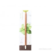 Crayon à graines aromatiques - Camomille