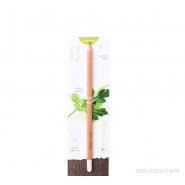 Crayon à graines aromatiques - Camomille