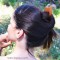 Pic à cheveux bois - Nature