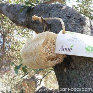 Luffa pour le Bain