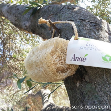 Luffa pour le Bain 2