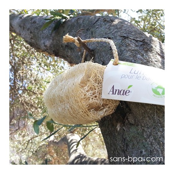 Luffa pour le Bain