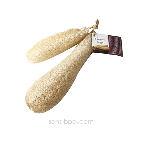 Lot 2 courges Luffa pour le ménage