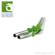 Lot 2 pailles inox COURTES - Onyx - Promo ZD