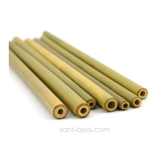 Lot 2 pailles bambou sans-bpa.com