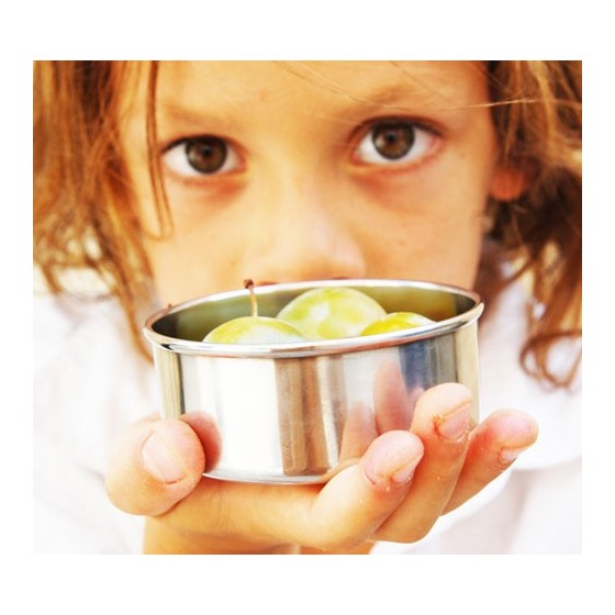 1 boite inox - Pomme - KIDS KONSERVE