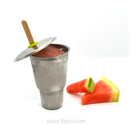 1 moule à glace complet BABEL