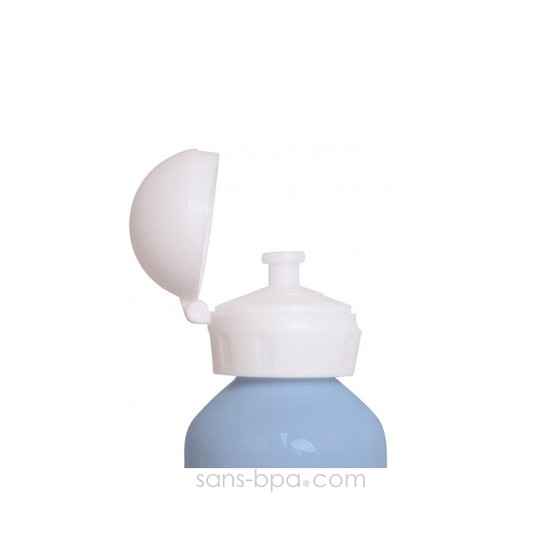 Gourde inox 500 ml - Poire