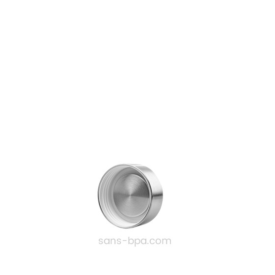 Théière inox isotherme MYRTILLE 300 ml