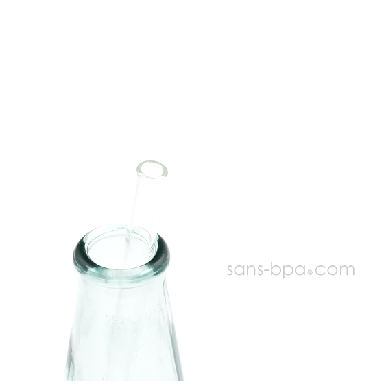 Paille en verre droite - courte - fine . La Transparente