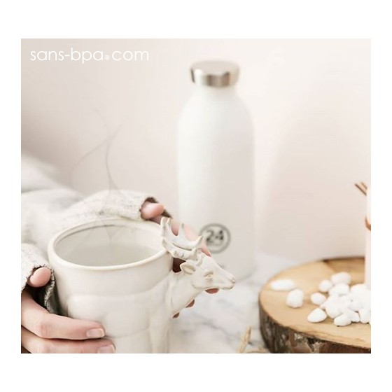 Bouteille inox isotherme 500ml - CLIMA MORNING GLORY