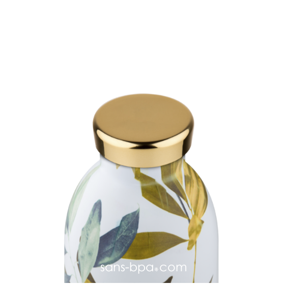 Bouteille inox isotherme 500ml - CLIMA TIVOLI