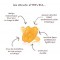 Tétine Physiologique 0-3 mois - LUNE-ETOILE - HEVEA
