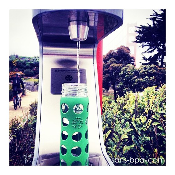 Gourde verre 475 ml PRUNE