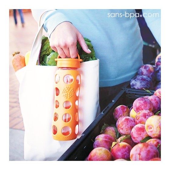 Gourde verre 475 ml PRUNE