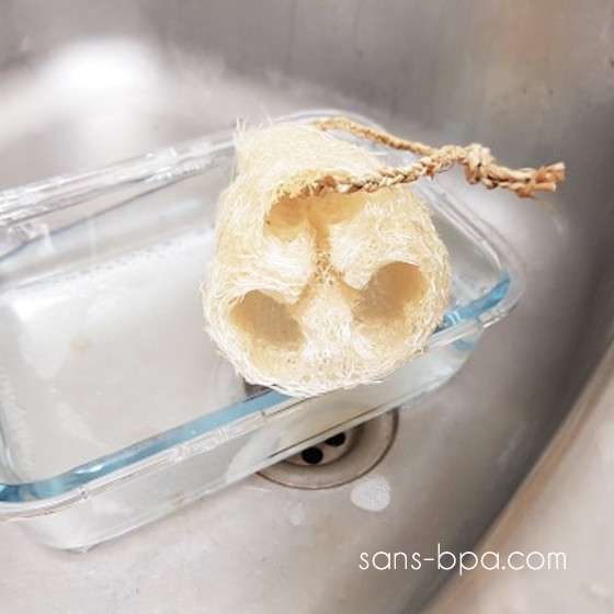 Luffa ménager