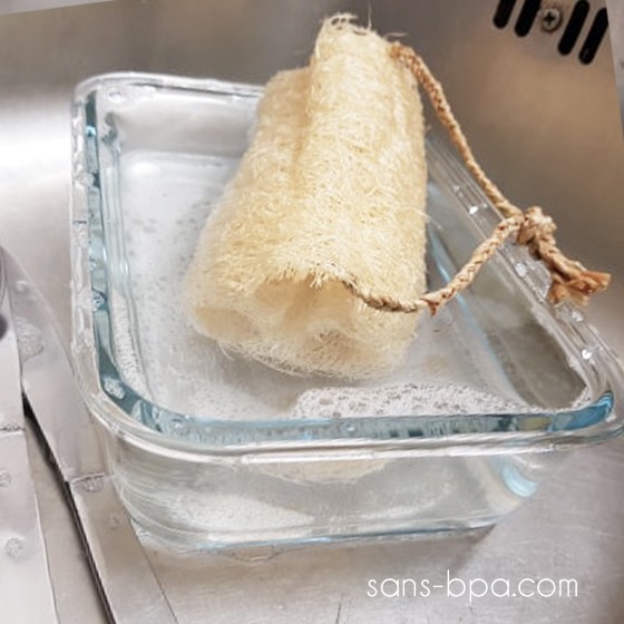 Luffa ménager