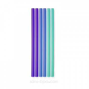 Lot 6 pailles silicones - Purple - Blue - Sea 2