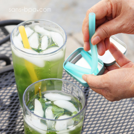 Paille nomade Smoothie - silicone LIME