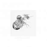 Gourde verre 600 ml JELLY FISH