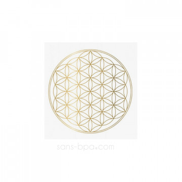 Gourde verre 1000 ml SOULDIVER 2