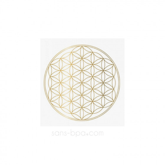 Gourde verre 1000 ml SOULDIVER