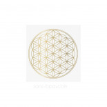 Gourde verre 1000 ml SOULDIVER