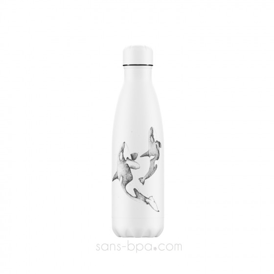 Bouteille isotherme inox 500ml - TROPICAL FLAMINGO