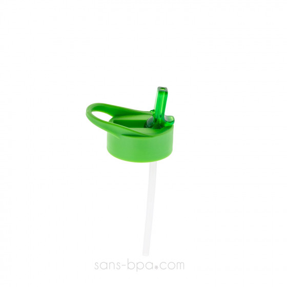 Gourde paille inox 525ml - Cygne