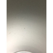 Cabosse - La P'tite timbale inox isolé 200ml - Joli Monde