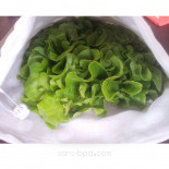Sac à salades - Modèle Herbes Folles - GRAND