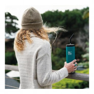 Lot 2 pailles inox embout silicone ~ Modèle SMOOTHIES