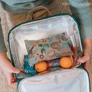 Ice pack réfrigérant - SAFARI