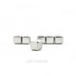 Ensemble 6 glaçons cubes INOX