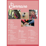 Peps n° 34