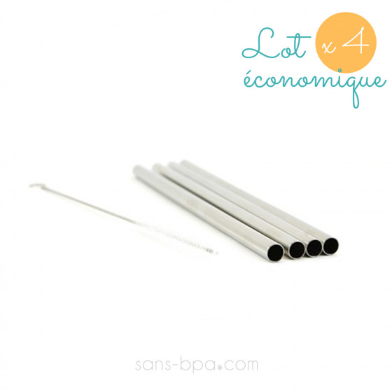 Ensemble 4 pailles inox - Smoothies