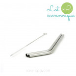 Lot 2 pailles inox & goupillon ~ Modèle COURT