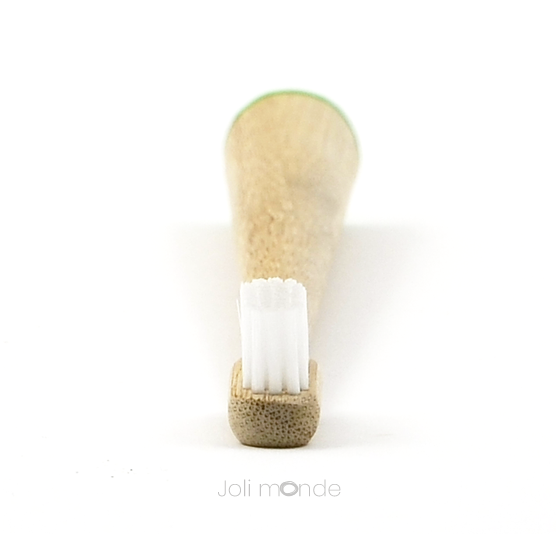 Brosse à dents bambou - CONICOLOR - Green