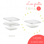 Lot 2 contenants De verre & d'inox 520ml + 1 GRATUIT