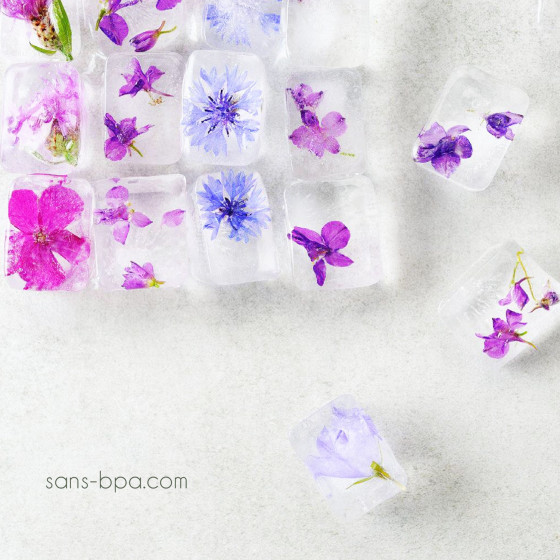 Bac à Glaçons 100% inox Joli Monde