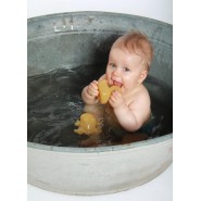 Les animaux de la mare, jeux de bain caoutchouc naturel - Hevea